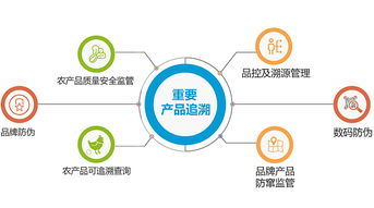 二維碼溯源系統(tǒng) 如何重塑企業(yè)質(zhì)量管理與追溯體系